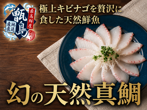 【高級料亭の味をたらふく満喫】市場になかなか出回らない鮮魚『幻の甑島天然真鯛』業界初パウダースノー冷凍で最高鮮度でお届け🐟刺し盛り大容量パッケージ約600g甑島ブランド【6月上中旬予約】