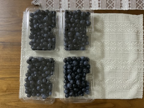 【たっぷりサイズ】極甘！樹上完熟「魚沼ブルーベリー」1kg（250g×4パック）