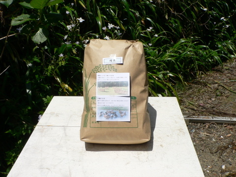 令和７年産 いのちの壱 白米１０ｋｇ【はせ掛け合鴨米】農薬化学肥料不使用