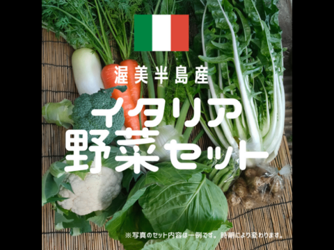 【クール便】渥美半島産＊イタリア野菜セット/7品種以上