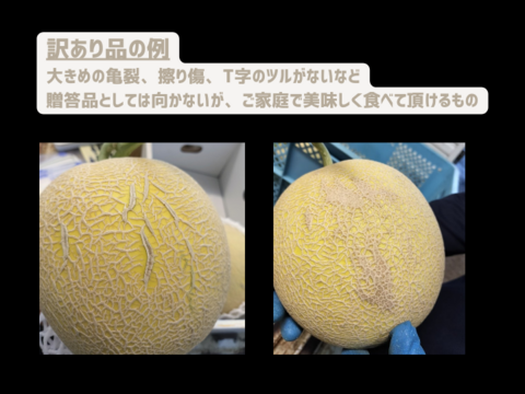 訳アリご家庭用＊極上メロン 渥美の陽光-HIKARI-(２玉入)