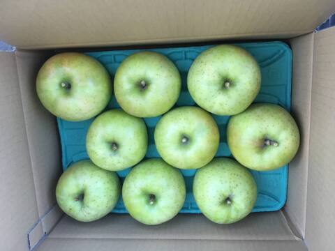 【先行予約】　王林３ｋｇ　青森県産りんご