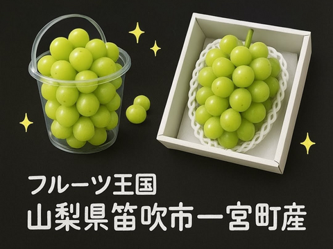 ouiさん専用　農家から直送！山梨県笛吹市産シャインマスカット 🍇【山梨県笛吹市産】プレミアムシャインマスカット 約1.2kg