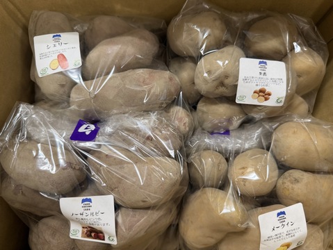 お試し！【じゃがいも】食べ比べセット(おまかせ3～5種)計4kg※種類によっては小芋サイズも含まれます。
