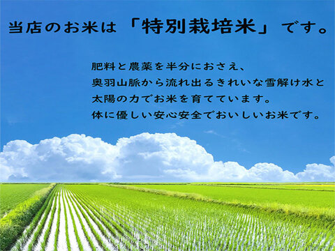 【ぴかぴかの新米！】農家直送　あきたこまち 玄米　30kg 令和5年産 秋田県産 特別栽培米