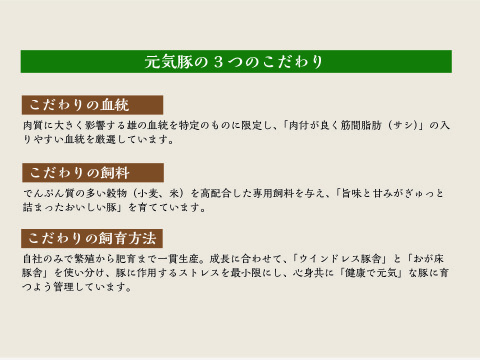 人気商品4点を手軽に試せる「元気豚 お試しセット」