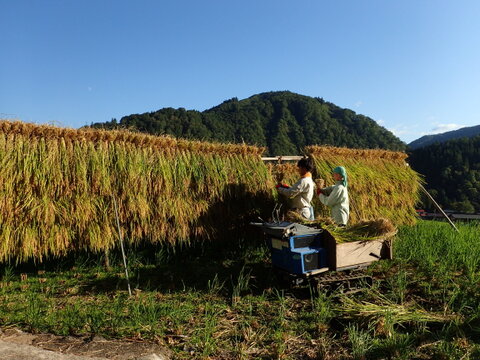 朴葉餅（ほおばもち）4つ入×2袋、冷蔵発送