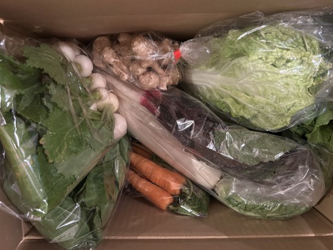 根っこ農園　自然風味お野菜セット