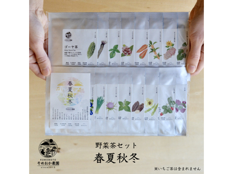 【15種セット】春夏秋冬 野菜茶セット
