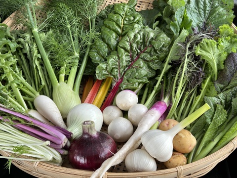 SALE！Sサイズ [信州産] 春野菜の玉手箱