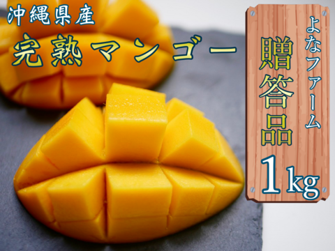 【2022年順次発送】沖縄県産完熟マンゴー1kg （贈答用）よなファーム八重瀬