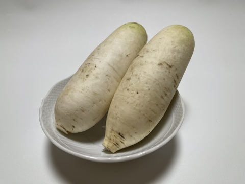 おろしそばに最適! 福井県産 辛味大根(品種名:味辛) 4kg