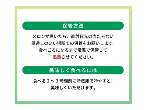 【贈答用】あっ晴れメロン1玉化粧箱入り