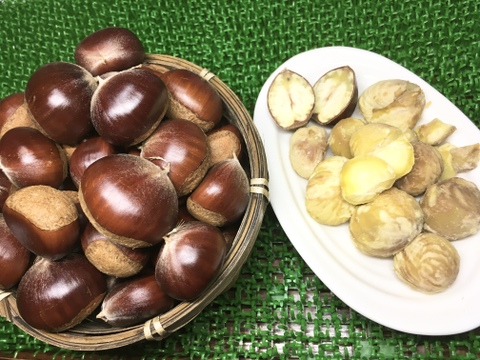 利平栗[栗の王様]や「丹波」「丹沢」等[2,000g]大入り「横浜市内産」ほっくり甘い採れたてです