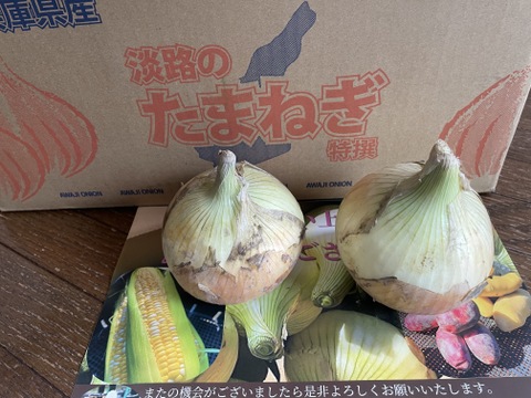この時期だけ！！その甘さに感激！淡路島新玉ねぎ　１０ｋｇ（早生・七宝）