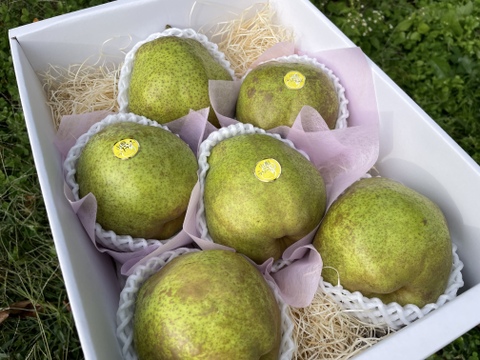 【ギフト】西洋なし王国！山形県産ラフランス　超大玉6Ｌ!3kg  6玉入り