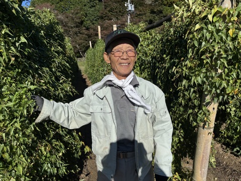 【数量限定】山の環境を再現して育てた”今の今"だけの贅沢！
自然薯1本物（約800ｇ）☆発送予定12月初旬～12月中旬