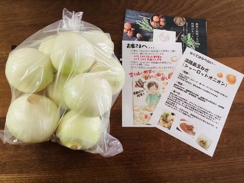 ‼️白剥き玉ねぎ2.5kgお買い得‼️淡路島玉ねぎ白剥き‼️主婦の味方❗️生ゴミ無し❗️即使える❗️特別栽培農産物　シャーロットオニオン