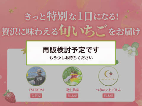 【完売御礼】【限定100セット】特選スペシャルいちご便🍓（食べチョク公式）