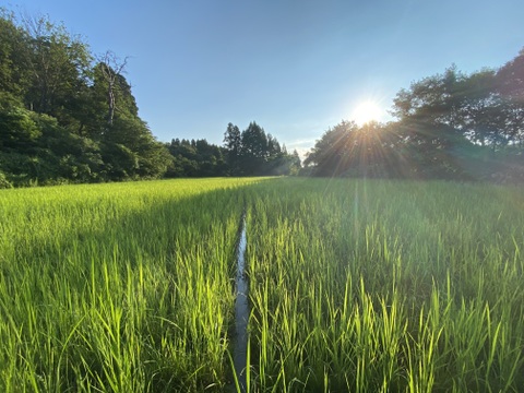 【福袋】縄文の里からの贈りもの from 富山