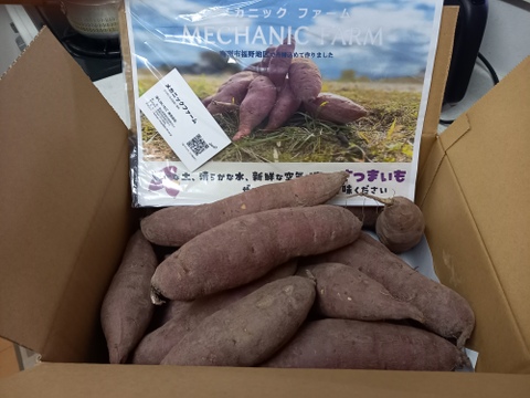 【熟成1か月超でお届け】富山県産 紅はるか 5kg 大きさ無選別