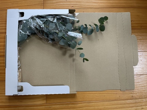 【にこにこメール便・品評会銀賞入賞！の自信作】リースなどにも・ユーカリお手軽価格🐨スーっとした甘い香りがご好評・花の産地山形県さがえ産・【ユーカリ・グニー】30cm~40cm　10本　花のある生活🌿