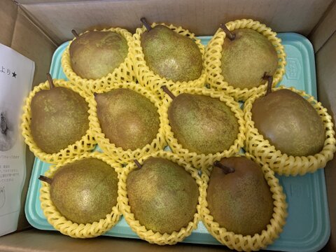 農薬節減!! こだわりラフランス 山形県 3kg 9〜11玉 ギフトにも 11月上旬〜【冬ギフト】