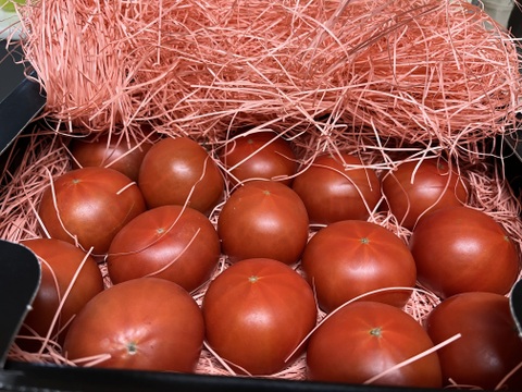 《春だ！旬だ！トマトが美味い！》ぜいたくトマト《春の陣》