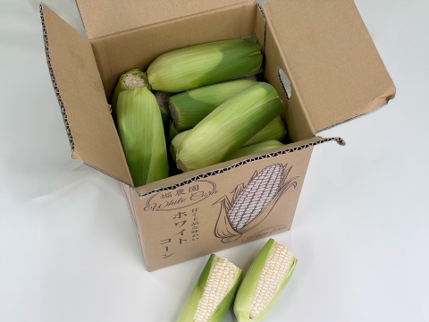 【訳あり・カット品】ホワイトショコラ 7kg｜家庭用・加工用