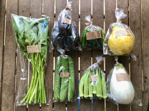 【夏ギフト・お試し品】5、6種類の野菜セット/農薬・化学肥料不使用なだけじゃない！味にこだわった野菜です。