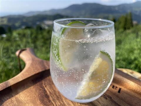 【数量限定】お試しサイズ、グリーンリスボン　1.5キロ