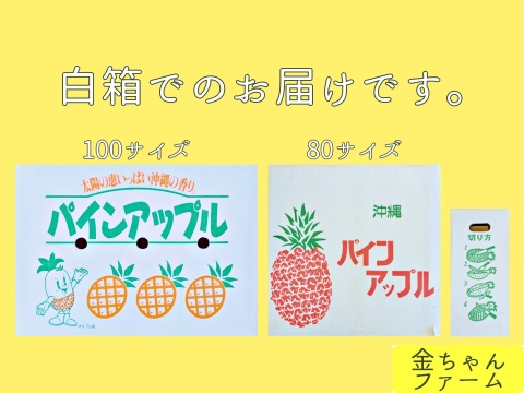 【甘酸ジューシー】定番のパイン『ジュワリー』約4.0kg