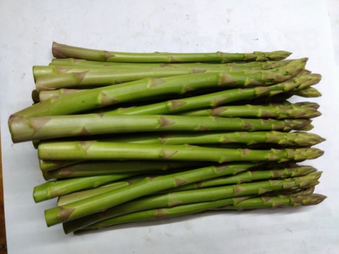 シャキシャキ！さぬきのめざめ秀品太めのL~2L夏芽１㎏