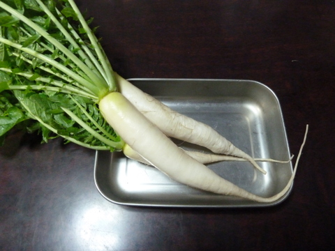 【野菜セットM】露地野菜 100サイズ 2000円