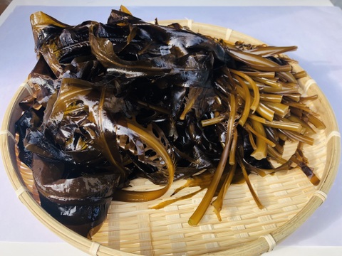 【今が旬！】　早採り生わかめ　2ｋｇ