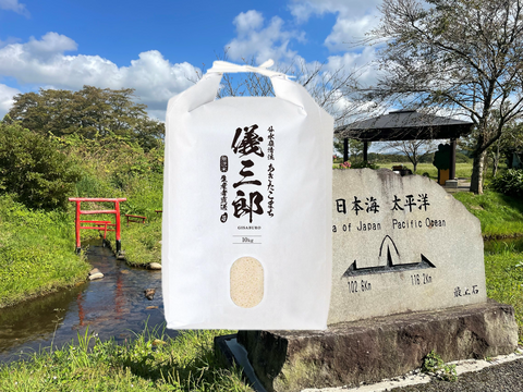 分水嶺清流 無洗米 あきたこまち 10キロ 令和7年度 山形県産 お米 米 白米 精米