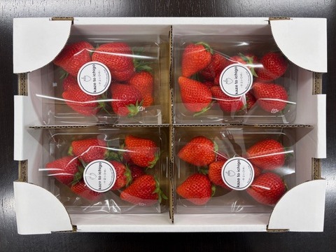 【特Aやよいひめ】宮城蔵王産 いちご 250ｇ×4ｐ
