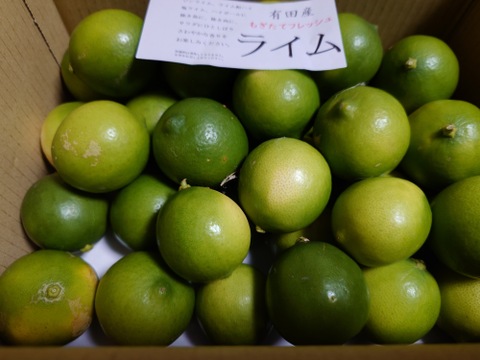 小さいライム　１．８ｋｇ