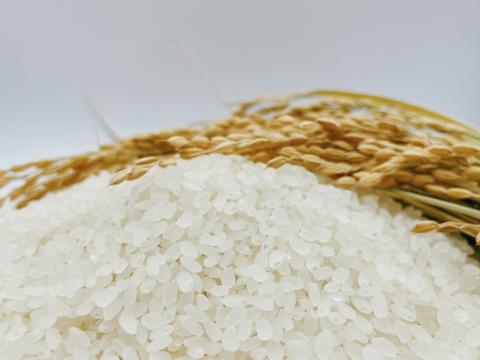 グルテンフリー　自然栽培米の発酵ケークサレ　季節限定