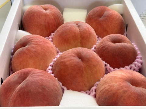 桃の概念が変わる硬さ【おどろき】3kg 数量限定