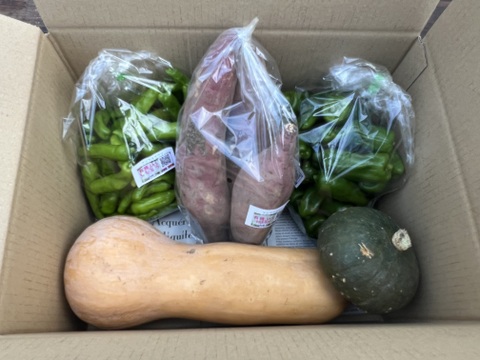 ☆有機JAS認証☆季節の彩り野菜セット