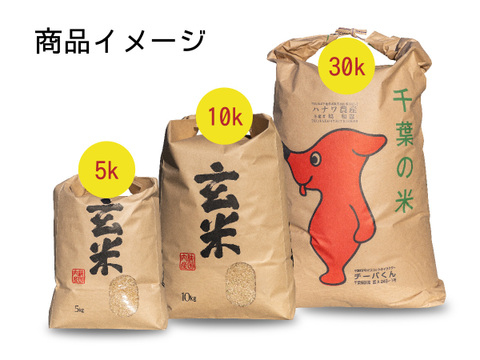 【新米予約開始】ふさおとめ 10kg（玄米）/ 令和5年