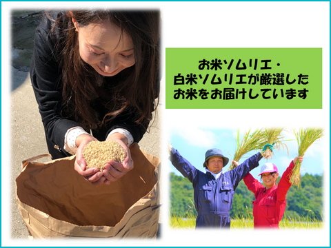 【令和6年産】毎日5合なら約26日分！茨城県産ミルキークイーン　ほたる20kg（5kg×4袋）