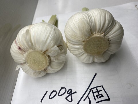 掘りたて・土付き　嘉定種・生ニンニク　1000g　加熱とともにほくほく―嘉定種生ニンニクが生み出す、究極のアヒージョも美味しい