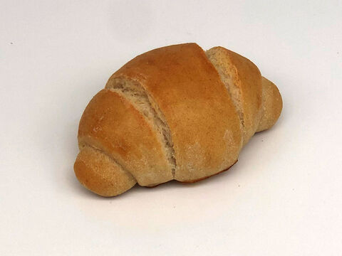 臀部有機！パンセット⑱：麦の栽培から一貫生産　自然栽培有機小麦のみ使用したソフト系有機パンセット（大）