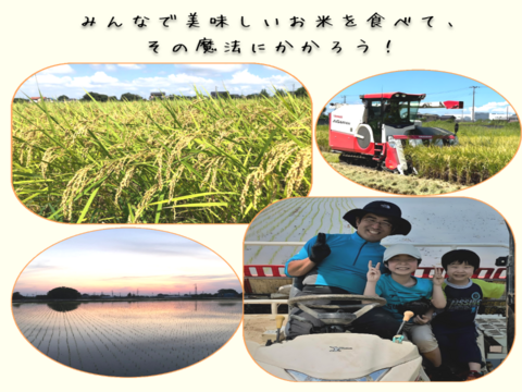 爽やかな甘みともっちりなめらかな食感
R6年産　特別栽培米彩のきずな　2㎏×1袋