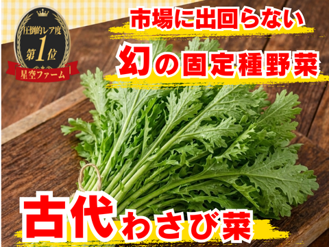 【引き立て役No.1 “香りを食べる葉”】🌱古代わさび菜☆肉・魚・油料理を完成させる辛香味🌱古代種ブランド野菜【農薬不使用】【化学肥料不使用】【固定種】お試し約500g【5月中旬予約】