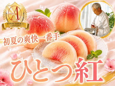【初夏限定一番手の極早生桃】フルーツの楽園南アルプスから品種指定キャンペーン登場🍑『ひとつ紅』お試し特価キャンペーン約1.5kg【朝どれ】高級もも☆家庭用・贈り物にも贅沢お中元ギフト【6月下旬予約】