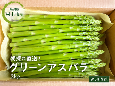 桃川農園｜初夏の甘みたっぷりグリーンアスパラガス（みどり認定野菜・太物中心）2kg