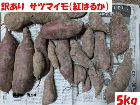 訳あり！サツマイモ（紅はるか）5kg箱込み